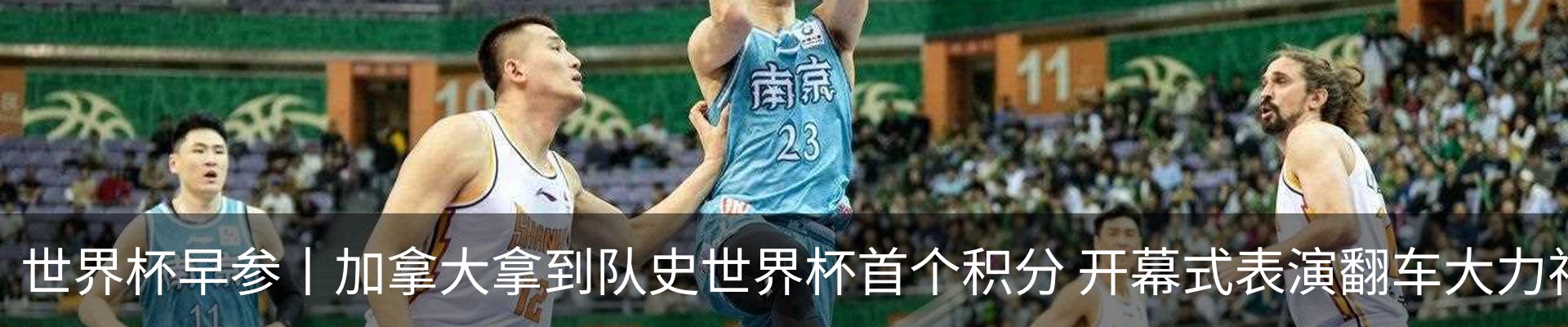 最新动态